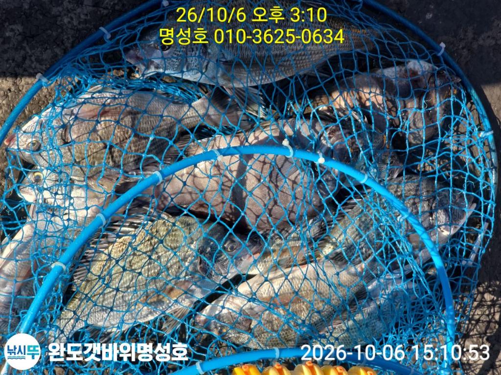 낚시뚜,감성돔,완도항,완도해남 명성호,낚시뚜0