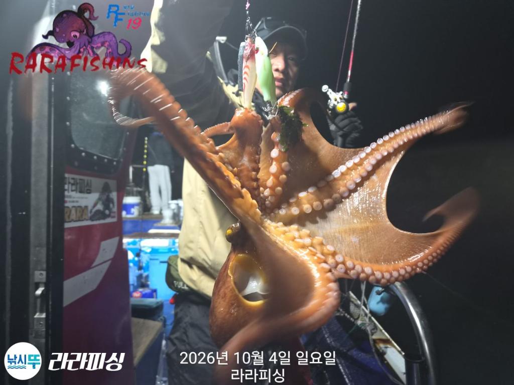 낚시뚜,돌문어,속천항(진해),라라피싱,낚시뚜7