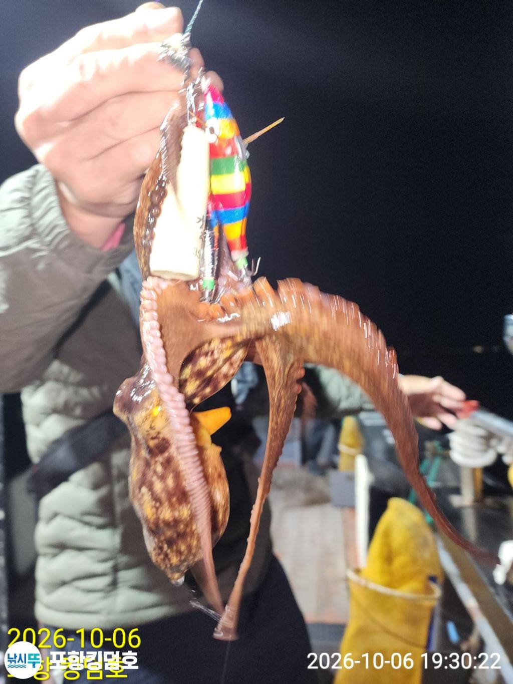 낚시뚜,돌문어,영일만항,포항 킹덤호,낚시뚜8