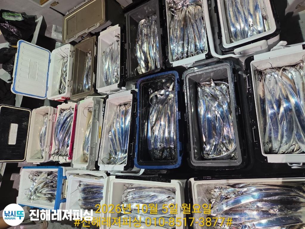 낚시뚜,,진해1부두항,진해레져피싱,낚시뚜23