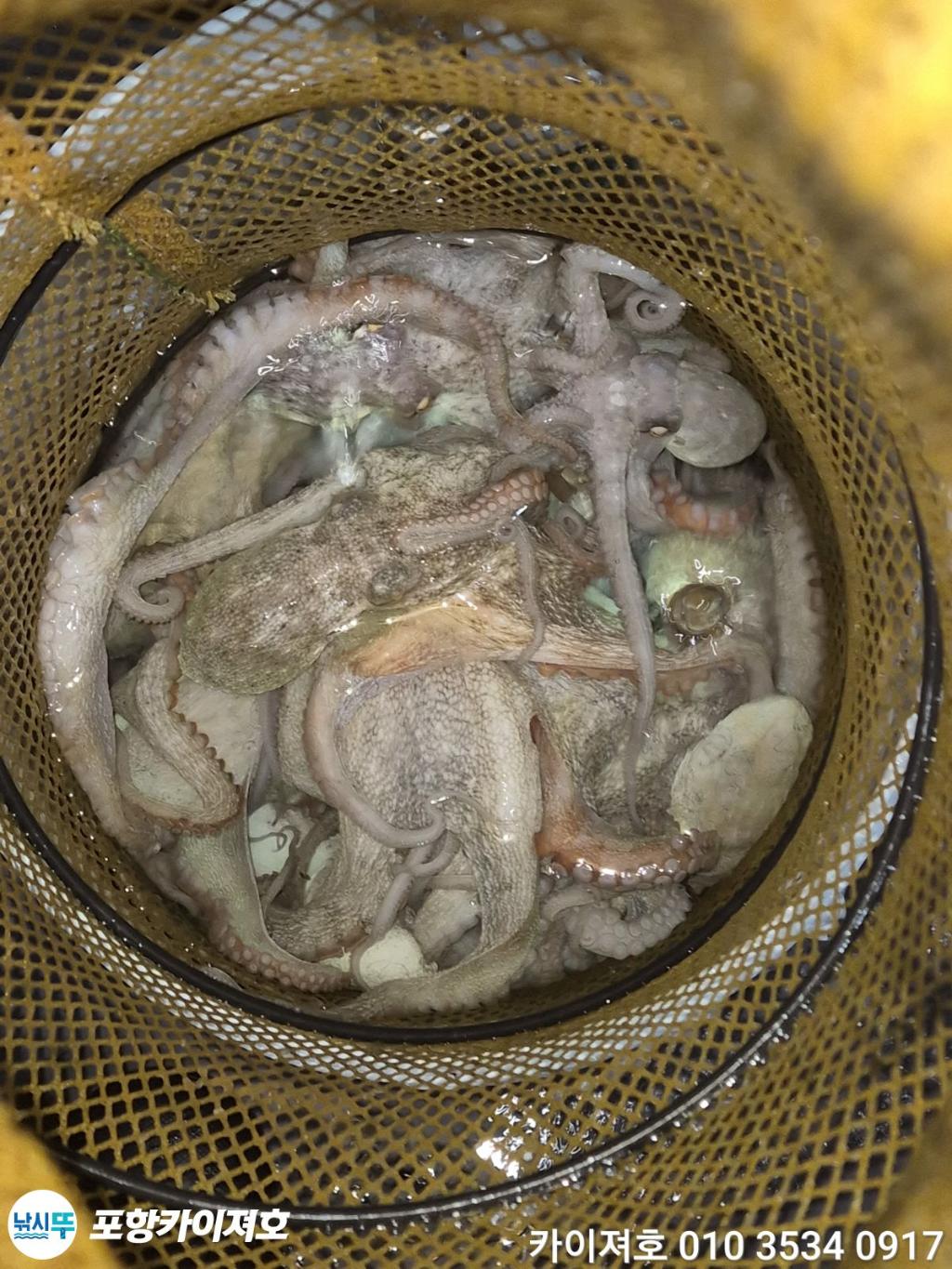 낚시뚜,기타 (직접입력),영일만항,포항카이져호,낚시뚜76