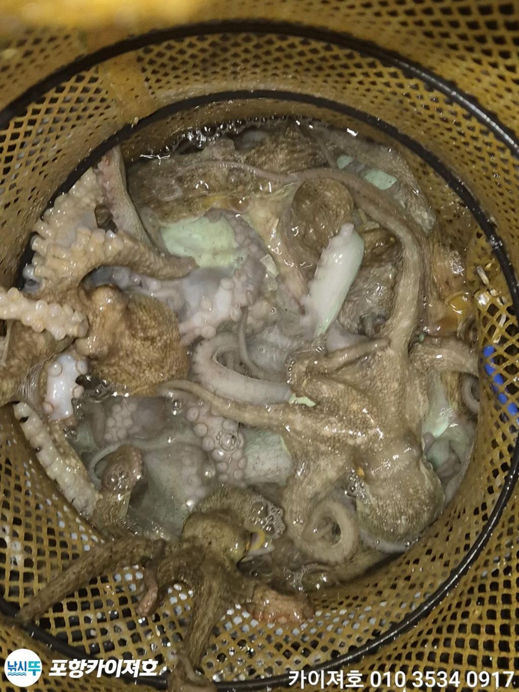낚시뚜,기타 (직접입력),영일만항,포항카이져호,낚시뚜71