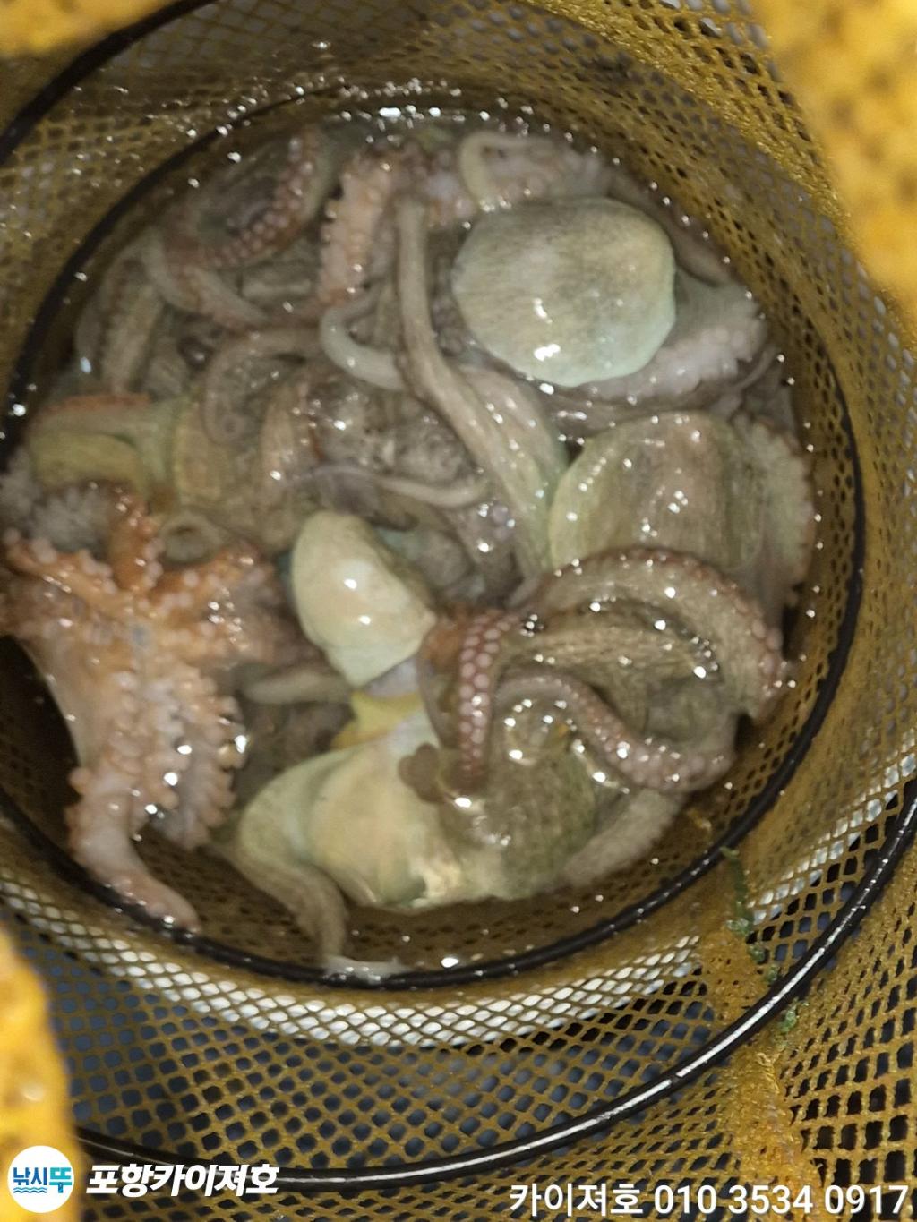 낚시뚜,기타 (직접입력),영일만항,포항카이져호,낚시뚜69