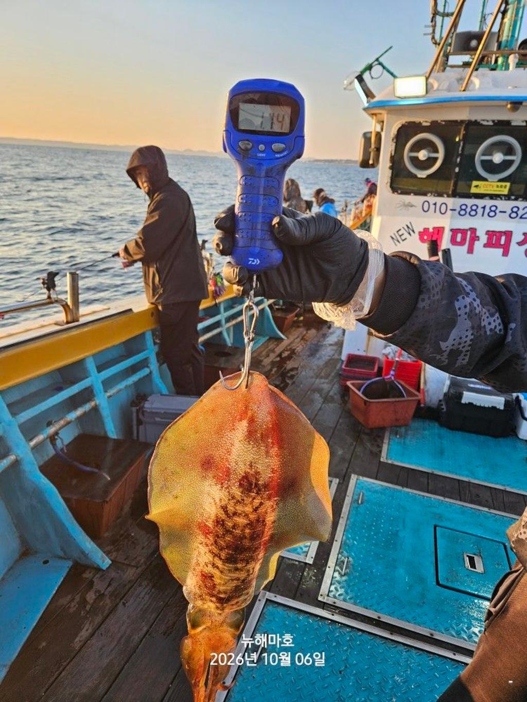 낚시뚜,무늬오징어,영일만항,뉴해마호,낚시뚜13