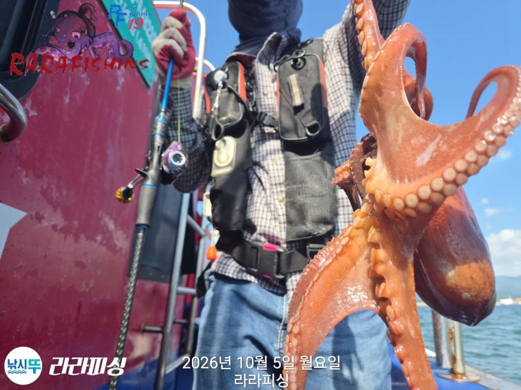 낚시뚜,돌문어,속천항(진해),라라피싱,낚시뚜4