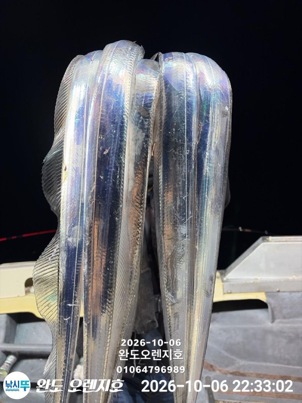 낚시뚜,갈치,완도항,완도 오렌지호,낚시뚜10