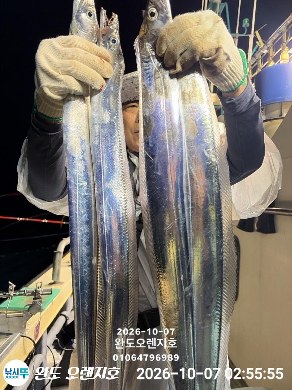 낚시뚜,갈치,완도항,완도 오렌지호,낚시뚜8