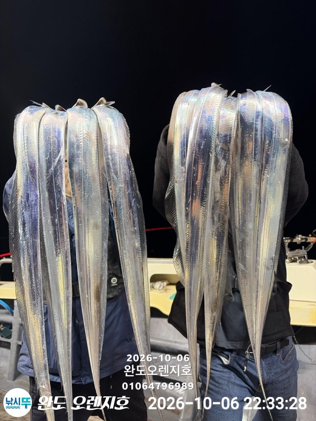 낚시뚜,갈치,완도항,완도 오렌지호,낚시뚜4