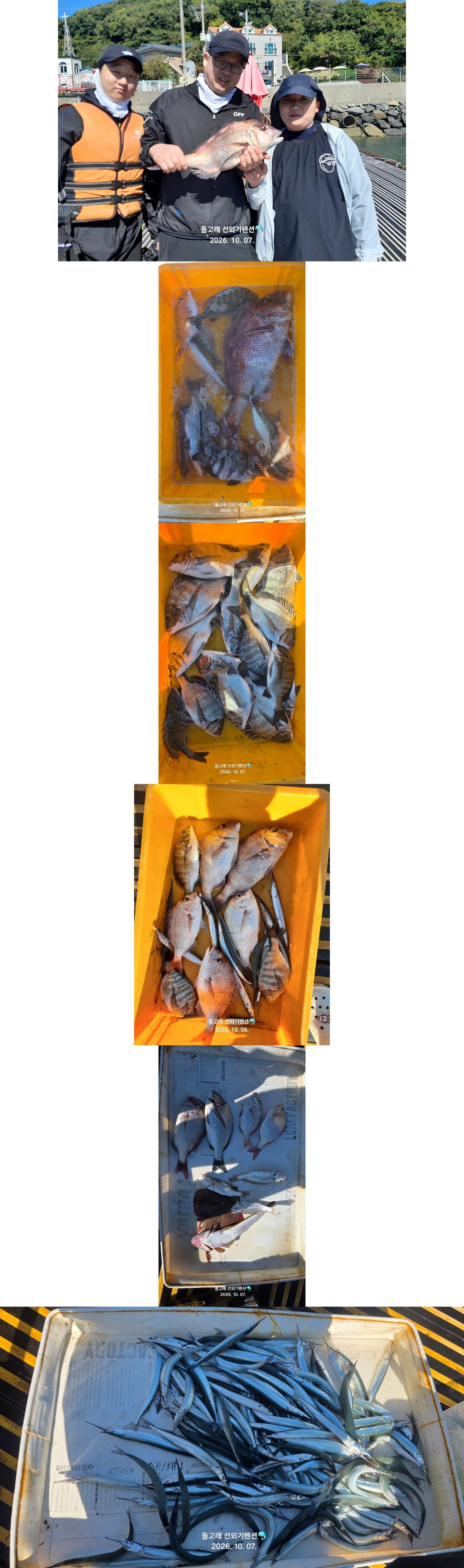 낚시뚜,감성돔,풍화상장마을,풍화리돌고래낚시,낚시뚜0
