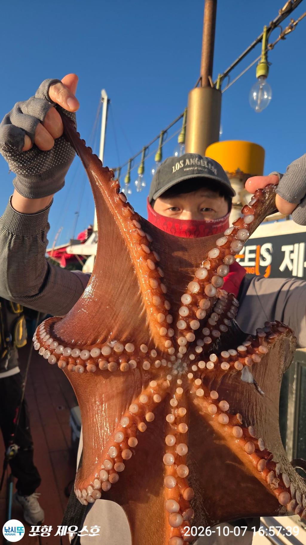 낚시뚜,돌문어,영일만항,포항 제우스호,낚시뚜0