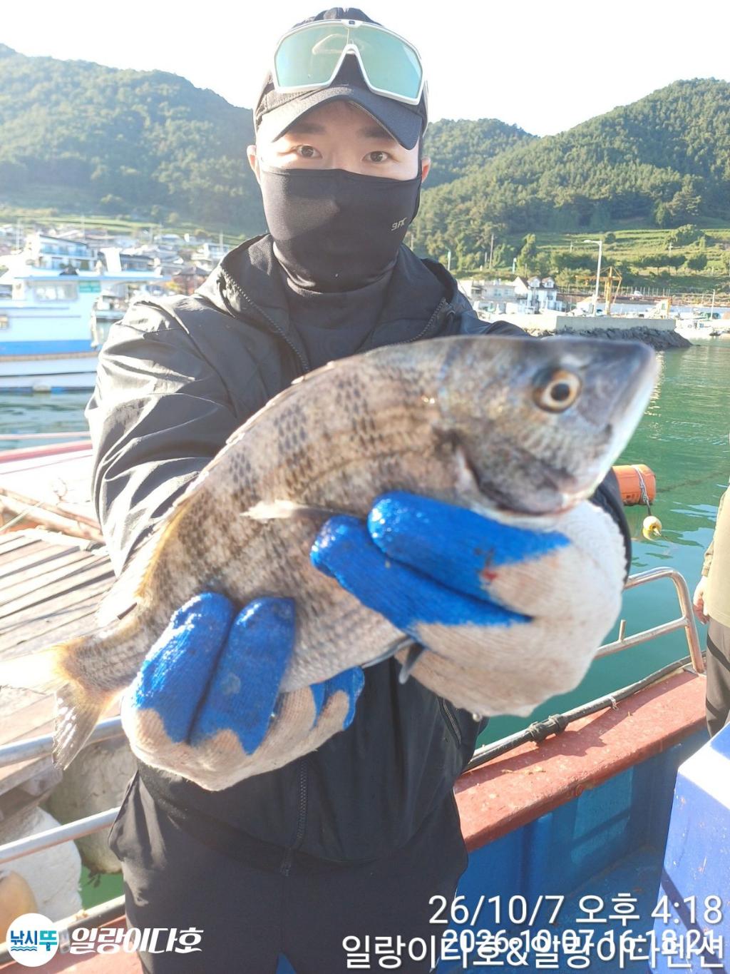 낚시뚜,감성돔,냉천항,일랑이다호,낚시뚜2