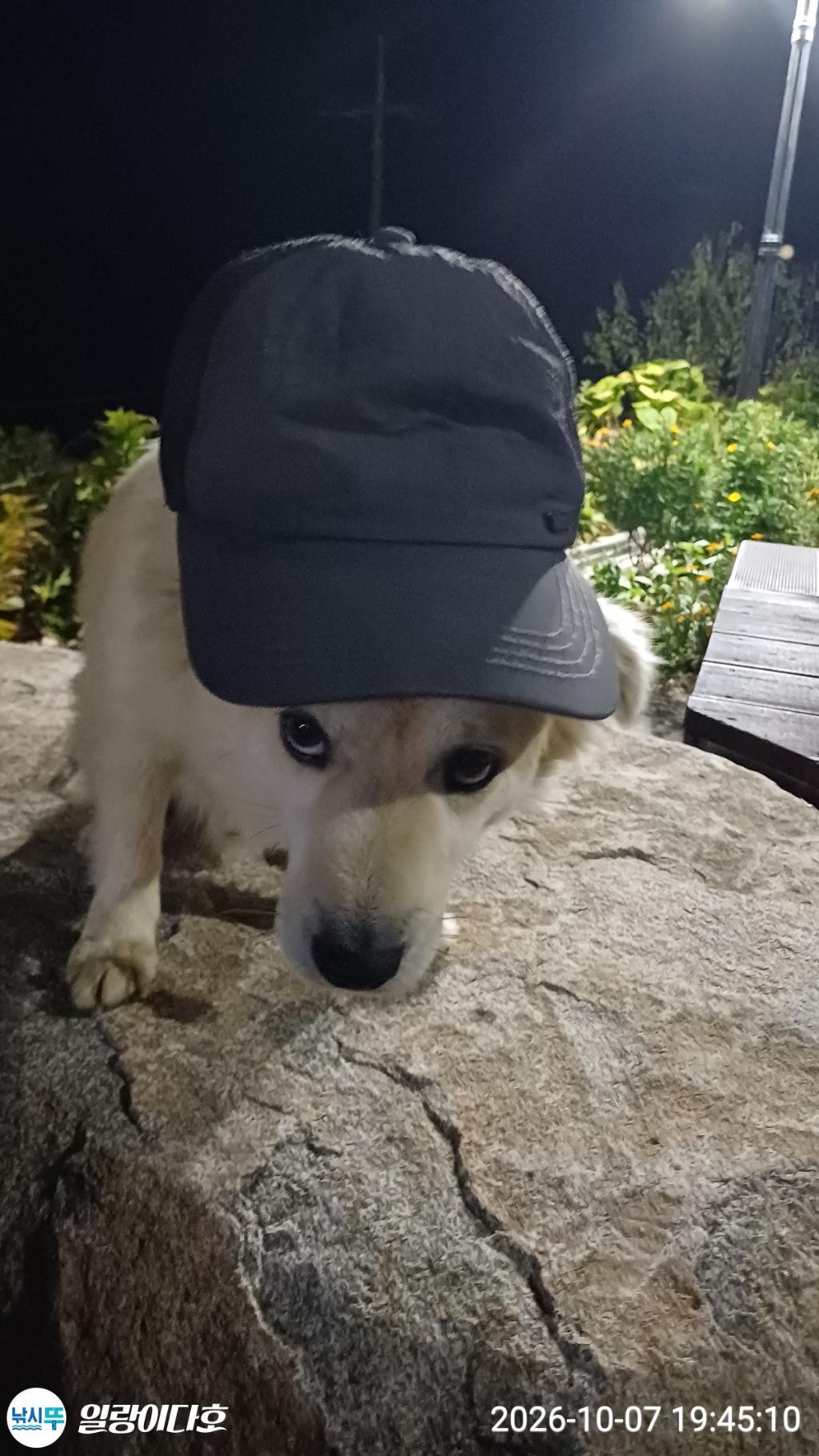 낚시뚜,감성돔,냉천항,일랑이다호,낚시뚜0