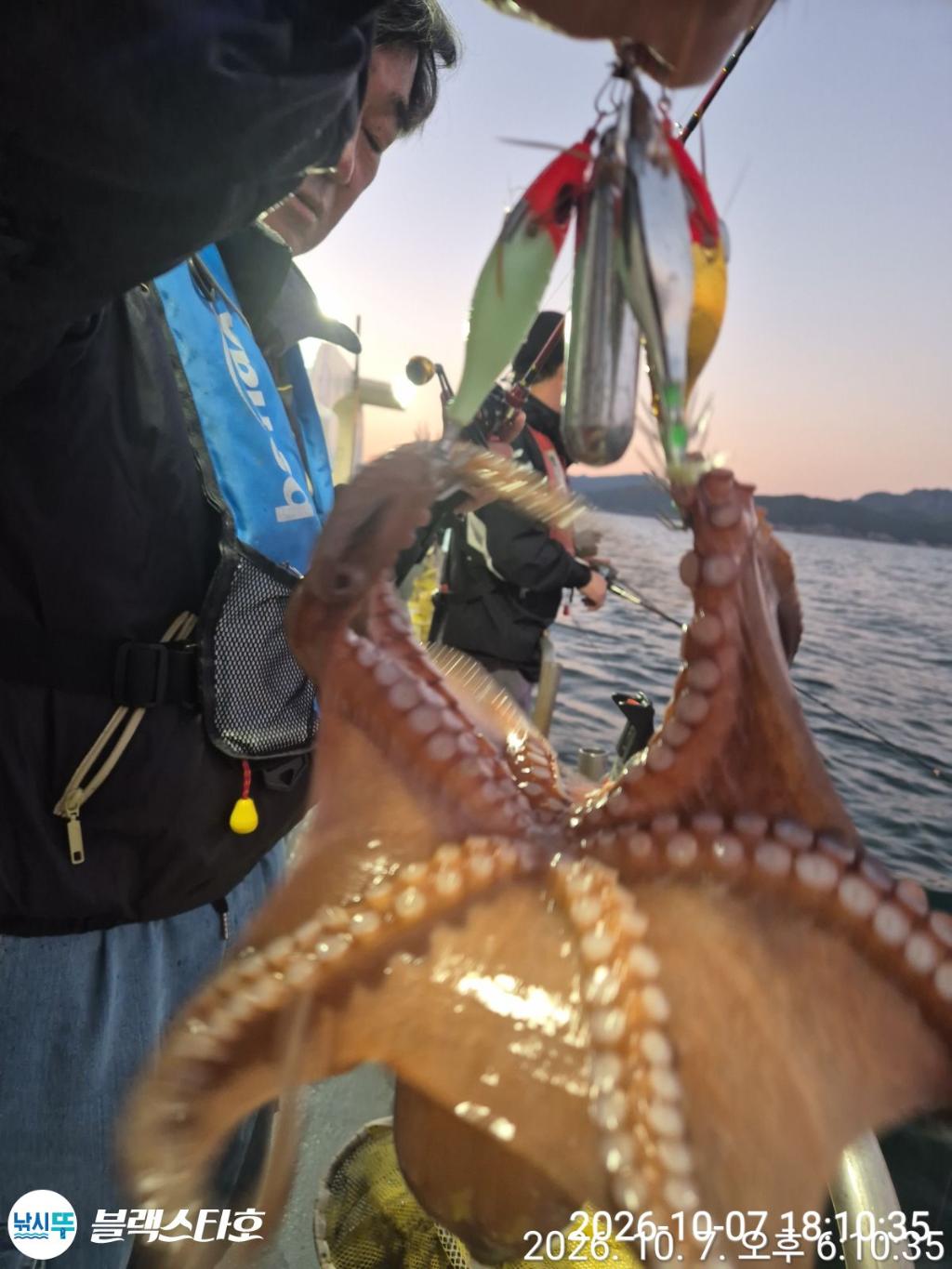 낚시뚜,돌문어,삼천포 팔포항,삼천포 블랙스타,낚시뚜2