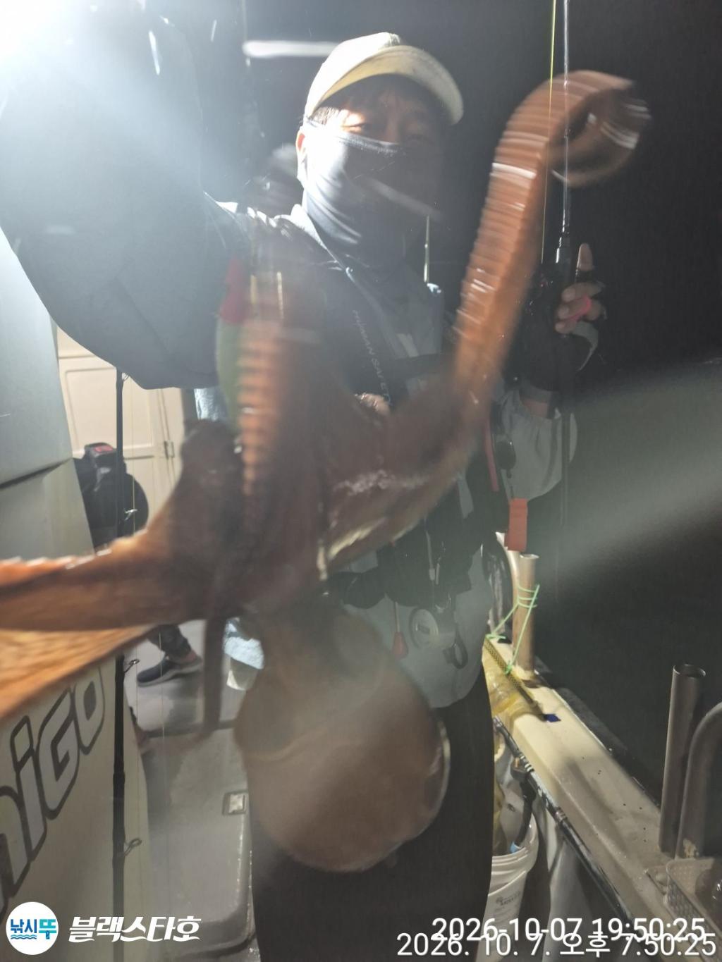 낚시뚜,돌문어,삼천포 팔포항,삼천포 블랙스타,낚시뚜1