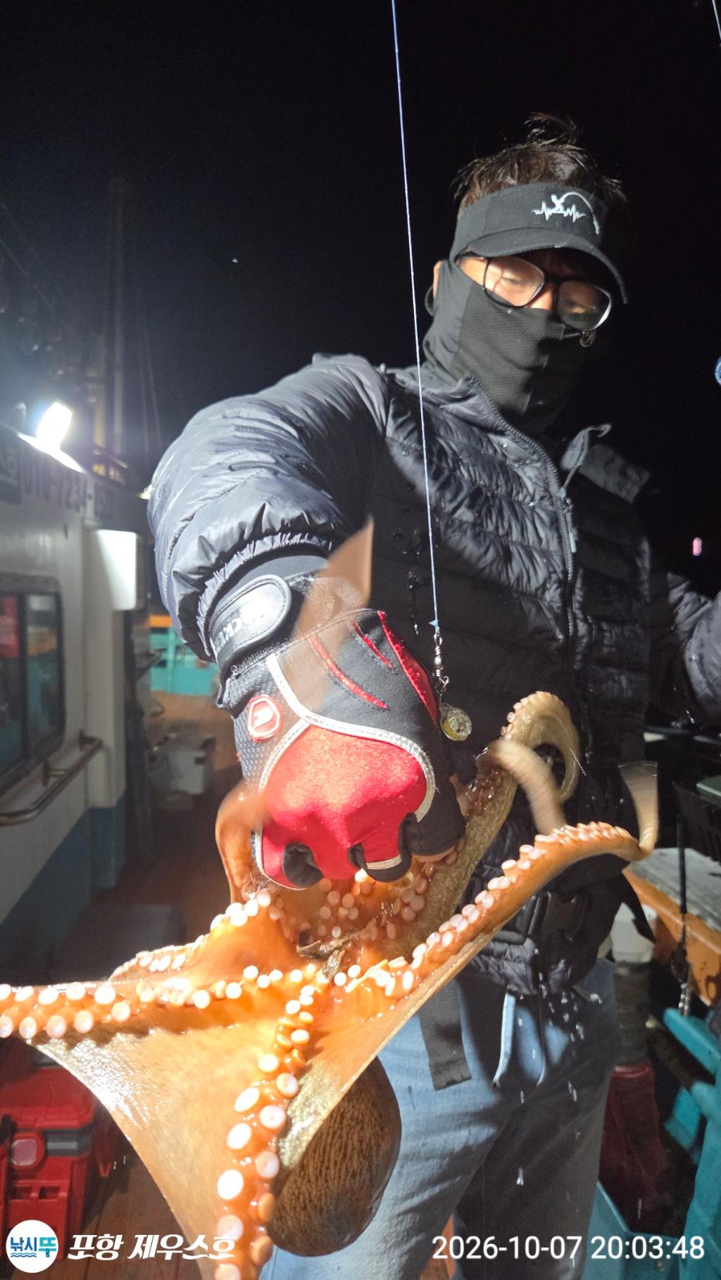 낚시뚜,돌문어,무늬오징어,영일만항,포항 제우스호,낚시뚜6