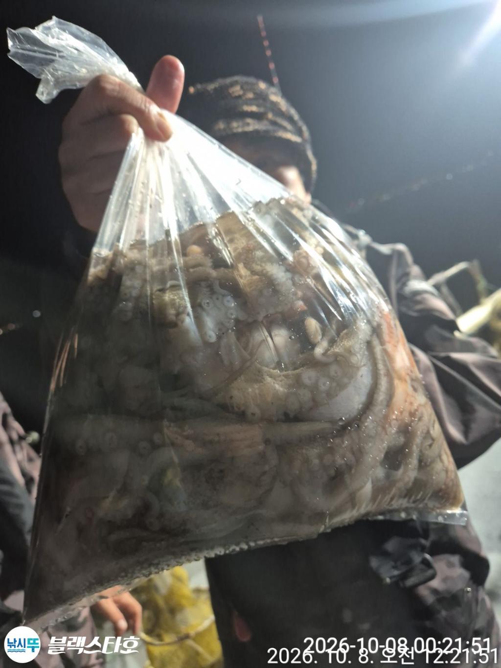 낚시뚜,돌문어,삼천포 팔포항,삼천포 블랙스타,낚시뚜18
