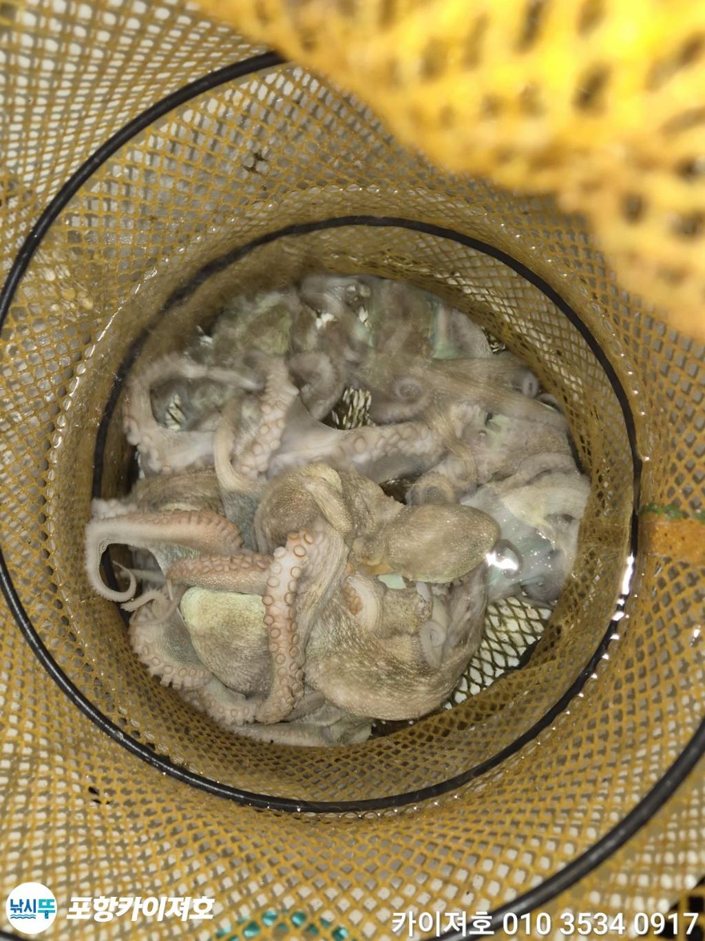 낚시뚜,기타 (직접입력),영일만항,포항카이져호,낚시뚜55