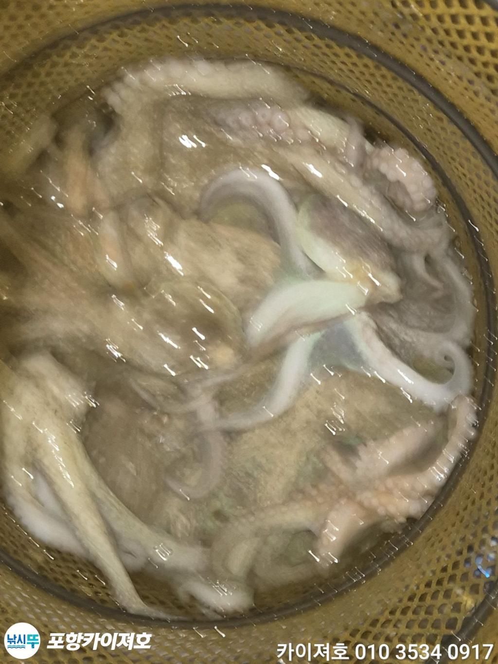 낚시뚜,기타 (직접입력),영일만항,포항카이져호,낚시뚜41