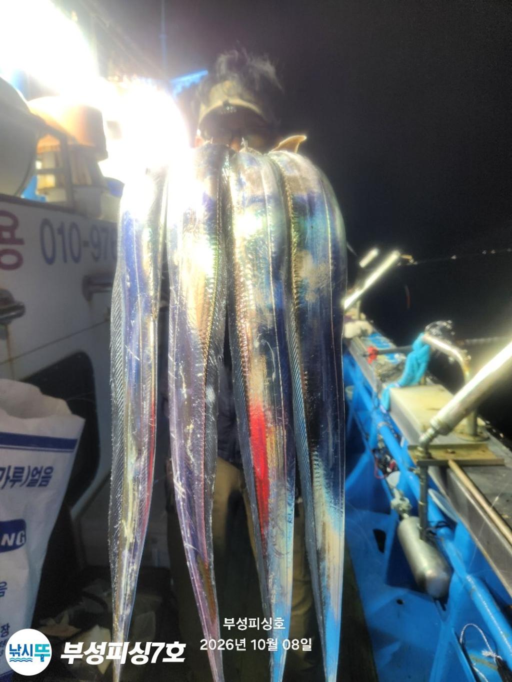 낚시뚜,갈치,통영영운리항,부성피싱7호,낚시뚜11