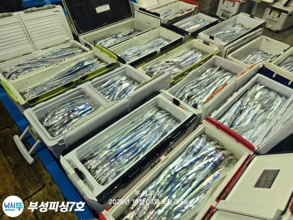 낚시뚜,갈치,통영영운리항,부성피싱7호,낚시뚜1