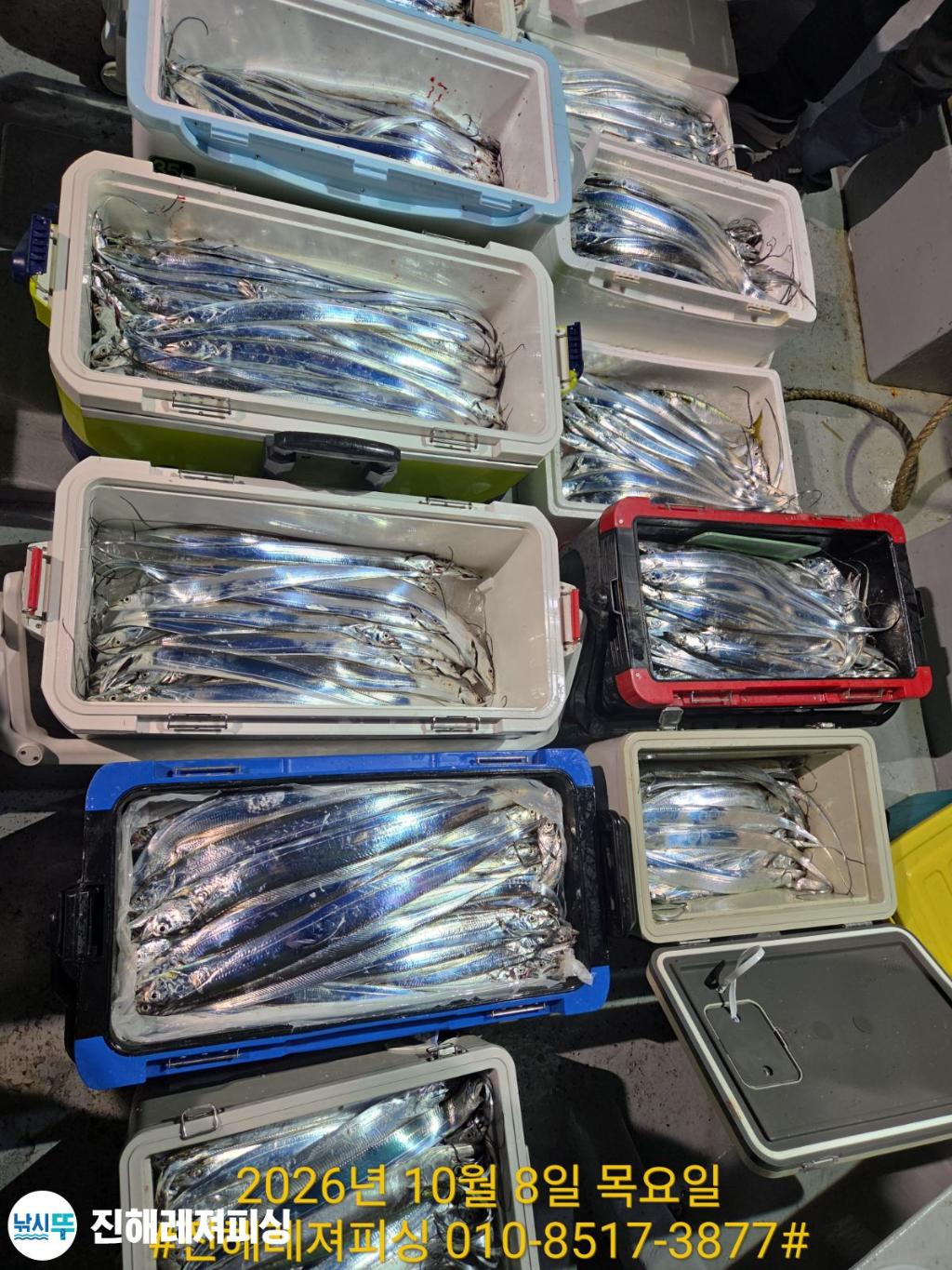 낚시뚜,갈치,진해1부두항,진해레져피싱,낚시뚜14