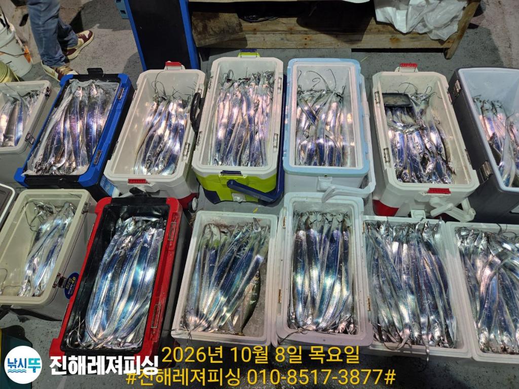 낚시뚜,갈치,진해1부두항,진해레져피싱,낚시뚜12