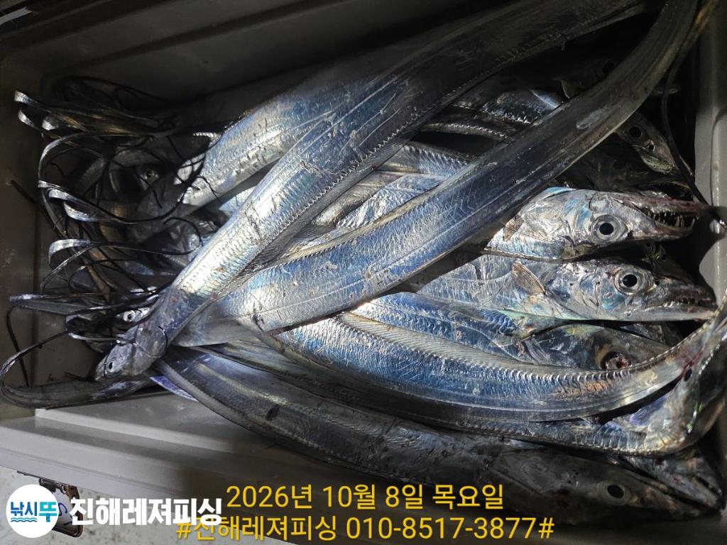 낚시뚜,갈치,진해1부두항,진해레져피싱,낚시뚜1
