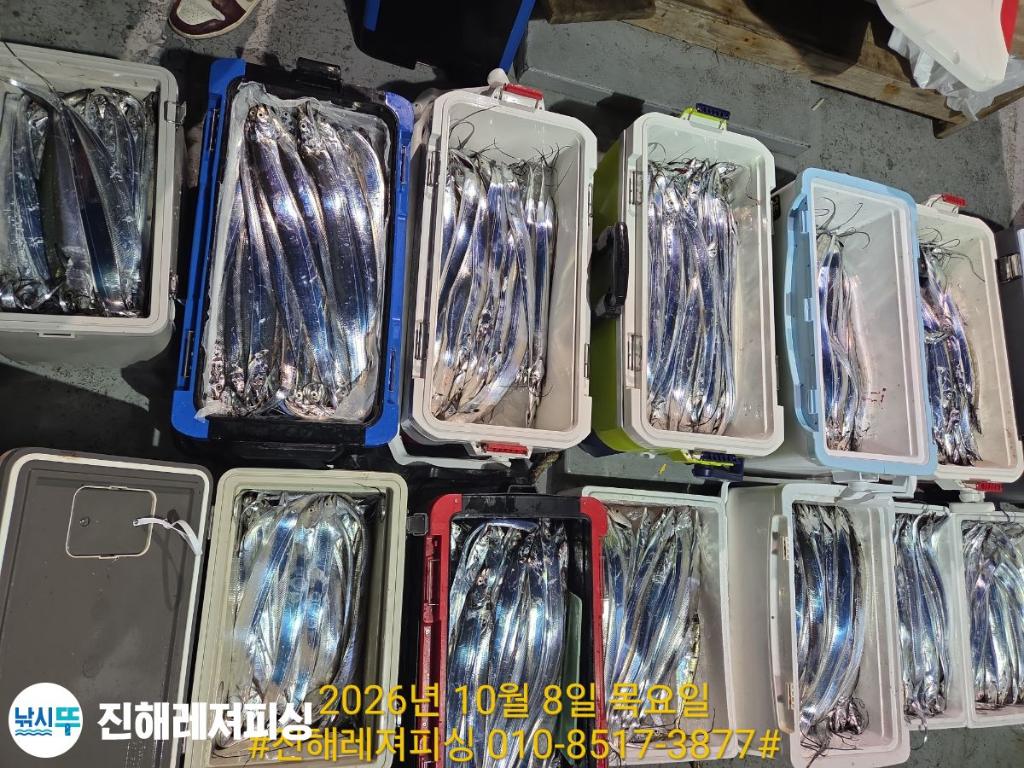 낚시뚜,갈치,진해1부두항,진해레져피싱,낚시뚜0