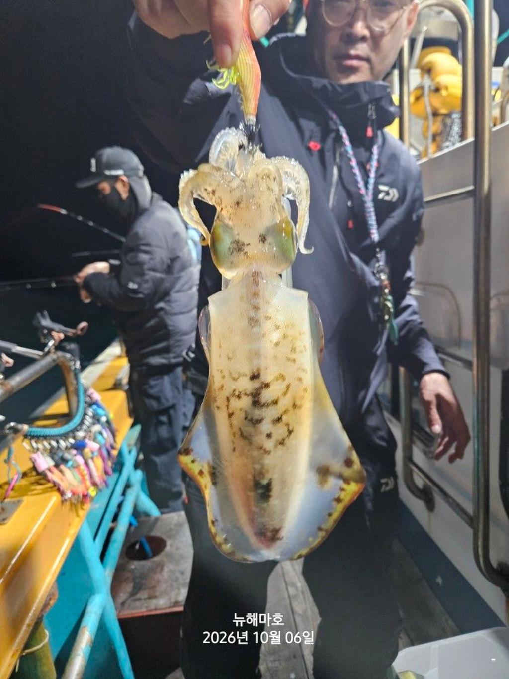 낚시뚜,무늬오징어,영일만항,뉴해마호,낚시뚜10