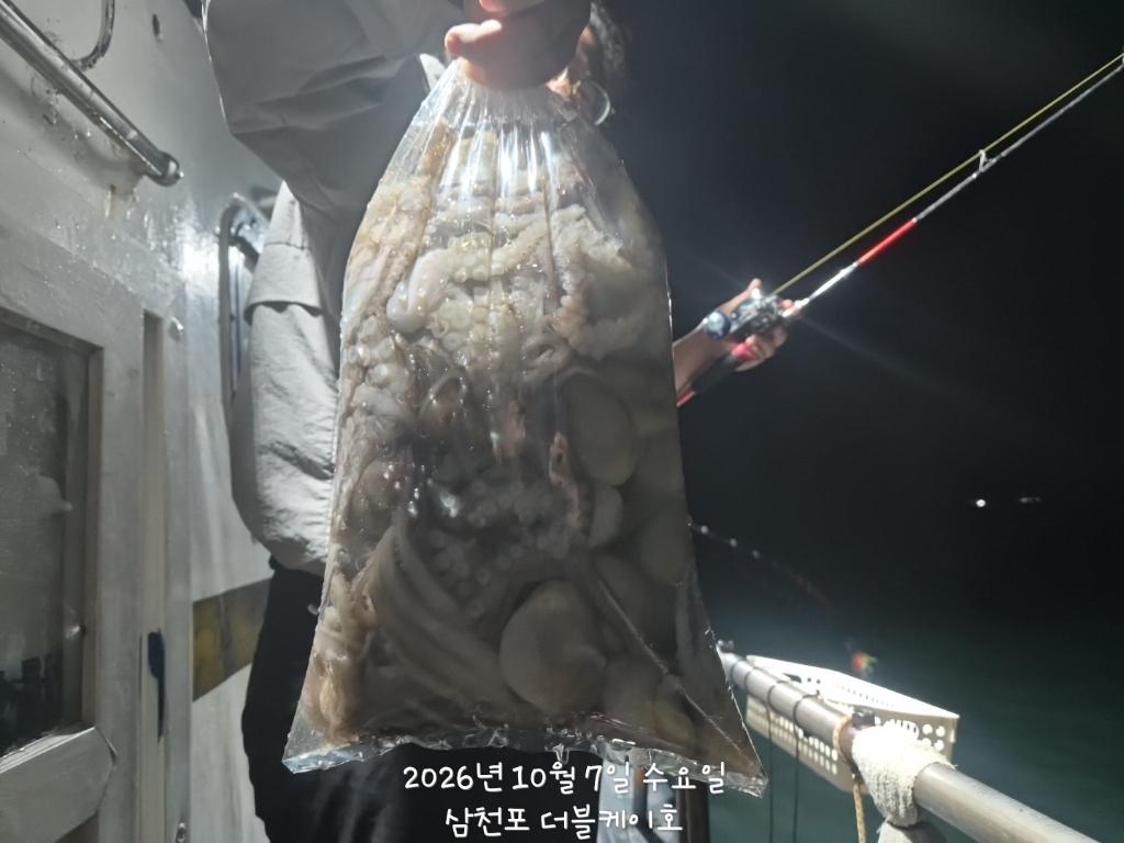 낚시뚜,돌문어,삼천포 팔포항,삼천포 더블케이호,낚시뚜16