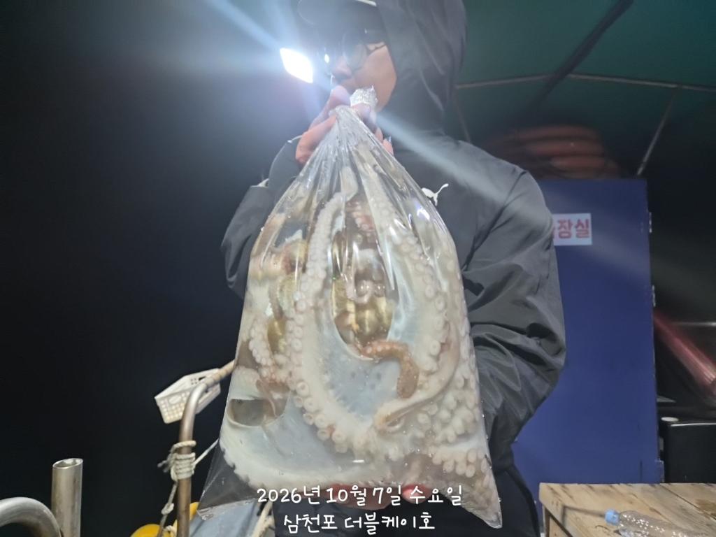 낚시뚜,돌문어,삼천포 팔포항,삼천포 더블케이호,낚시뚜13
