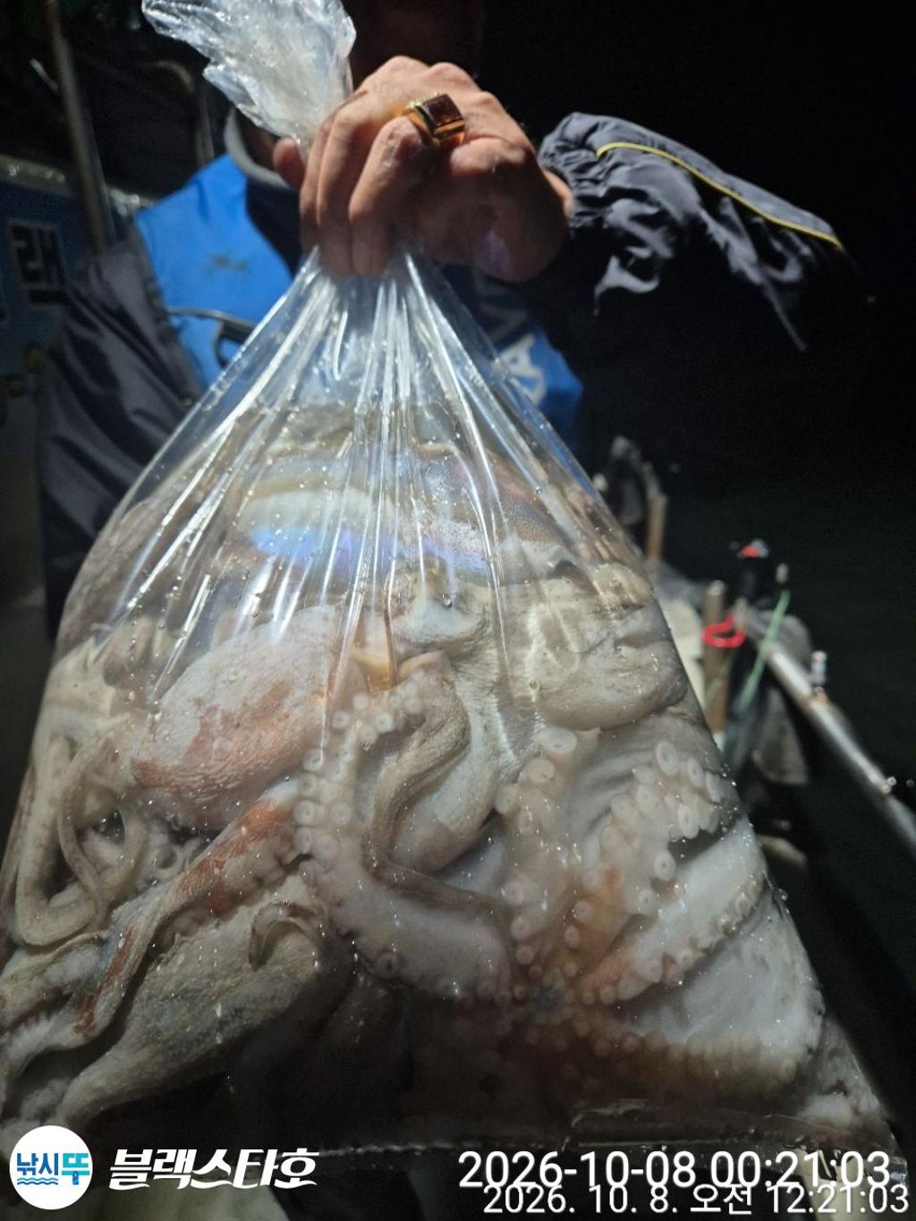 낚시뚜,돌문어,삼천포 팔포항,삼천포 블랙스타,낚시뚜13