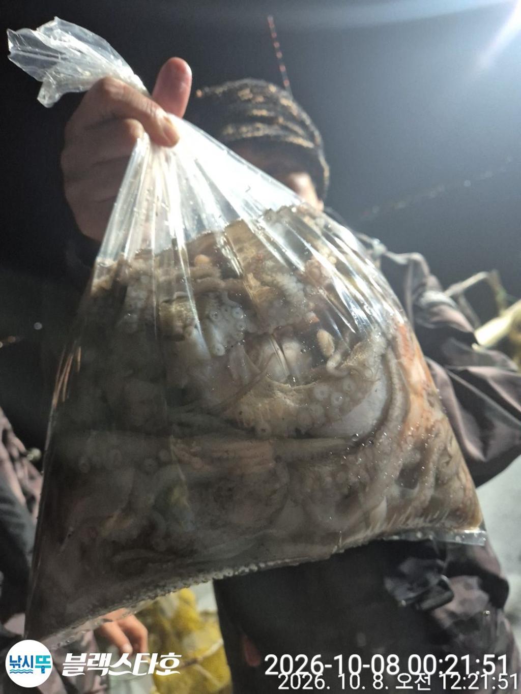 낚시뚜,돌문어,삼천포 팔포항,삼천포 블랙스타,낚시뚜11