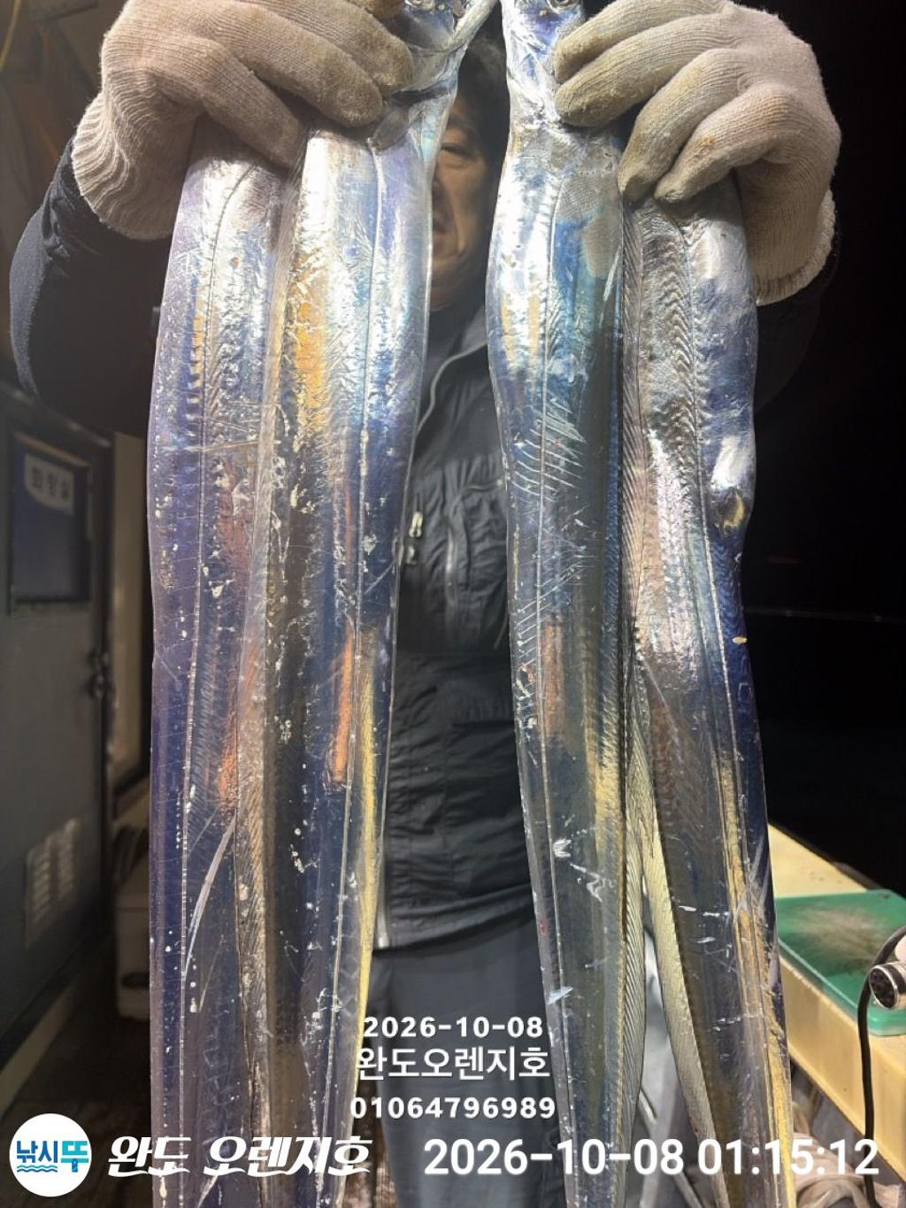 낚시뚜,갈치,완도항,완도 오렌지호,낚시뚜9