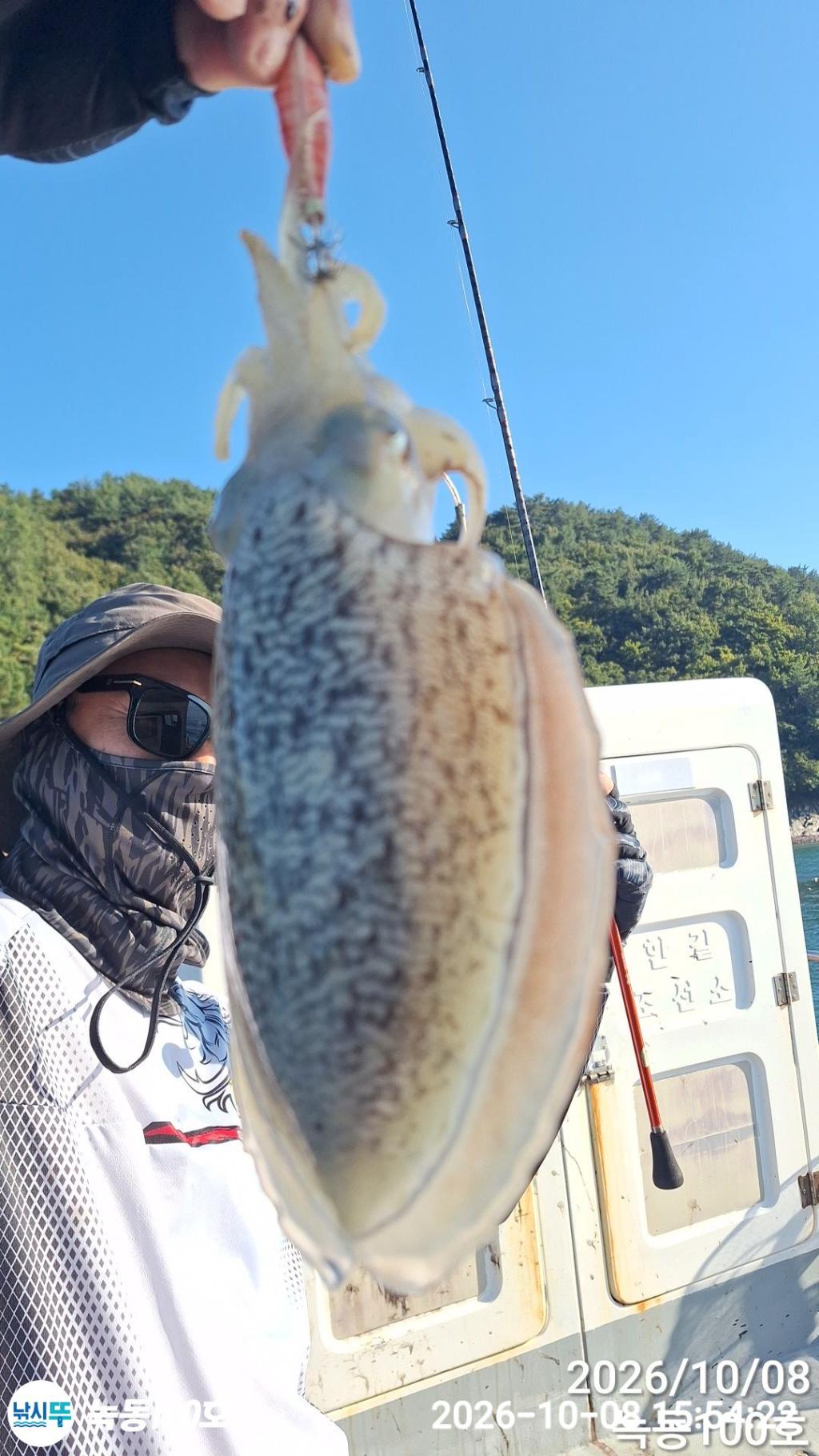 낚시뚜,갑오징어,녹동항,녹동100호,낚시뚜8