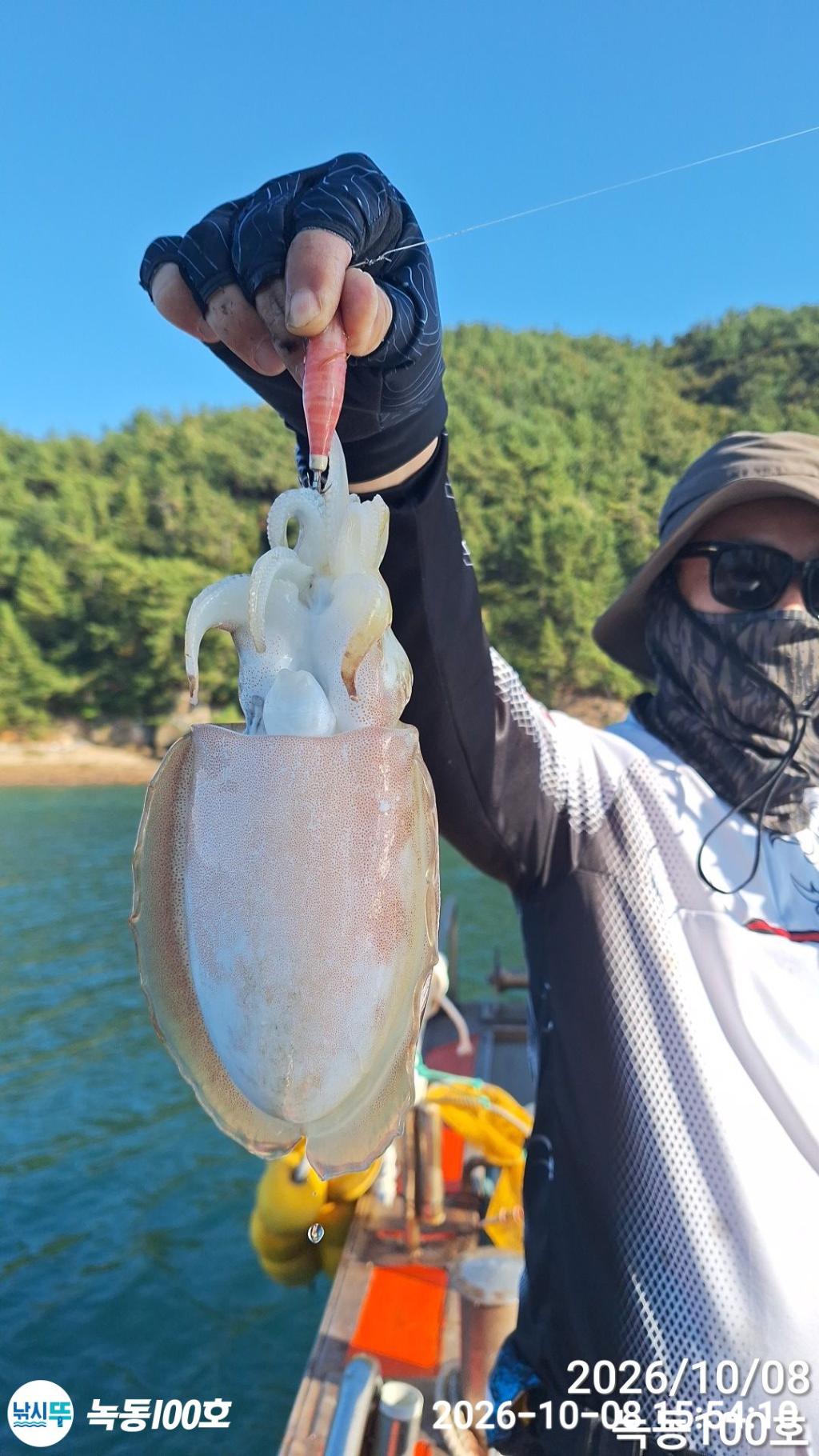 낚시뚜,갑오징어,녹동항,녹동100호,낚시뚜1