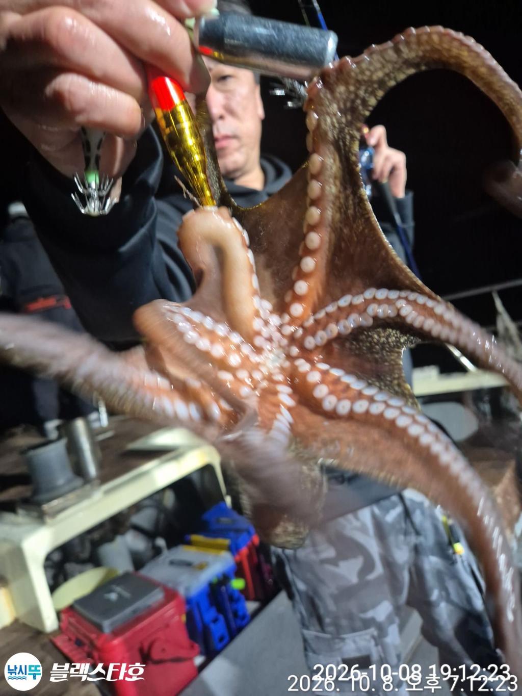 낚시뚜,돌문어,삼천포 팔포항,삼천포 블랙스타,낚시뚜9