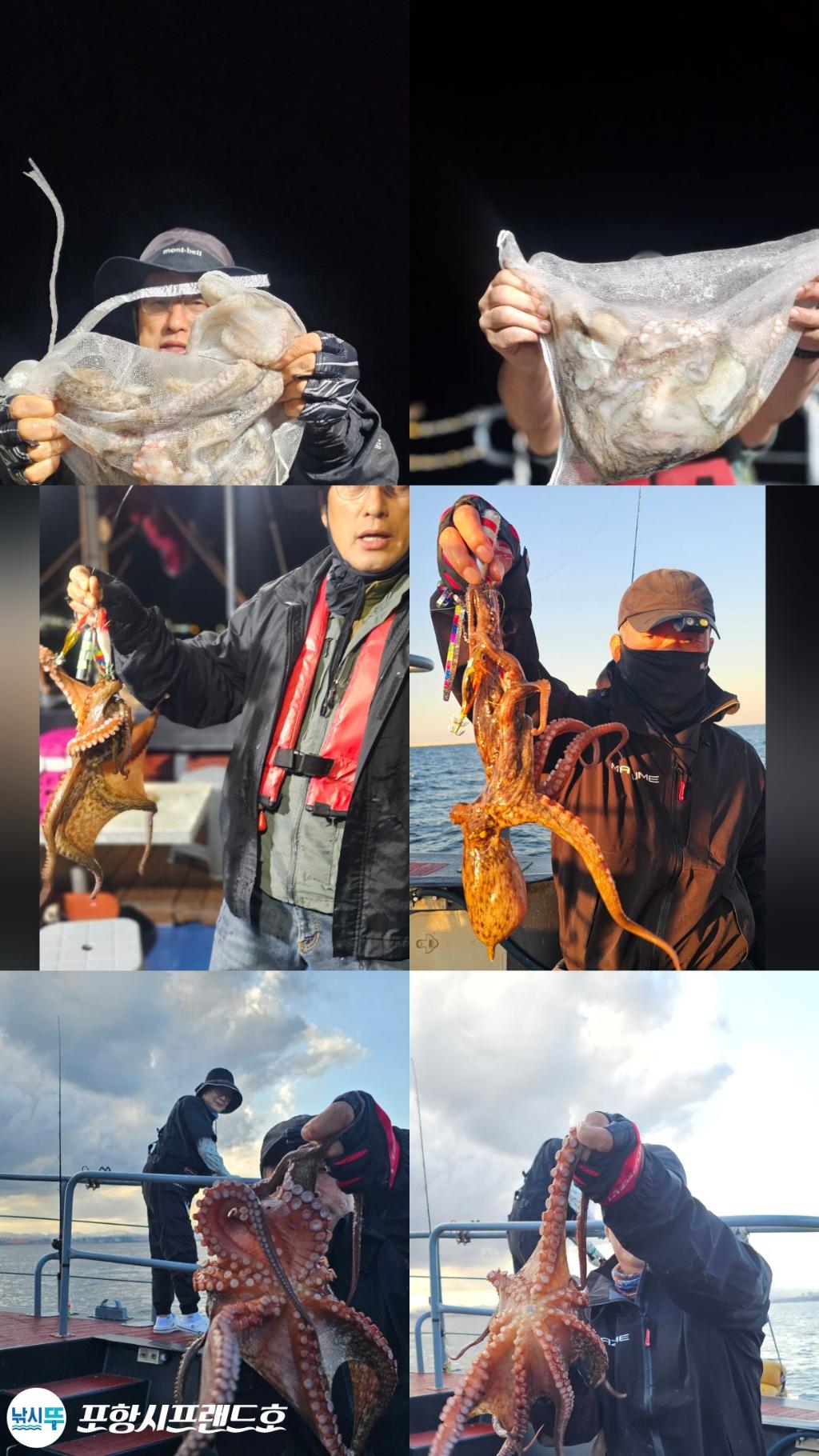 낚시뚜,돌문어,영일만항,포항시프랜드호,낚시뚜0