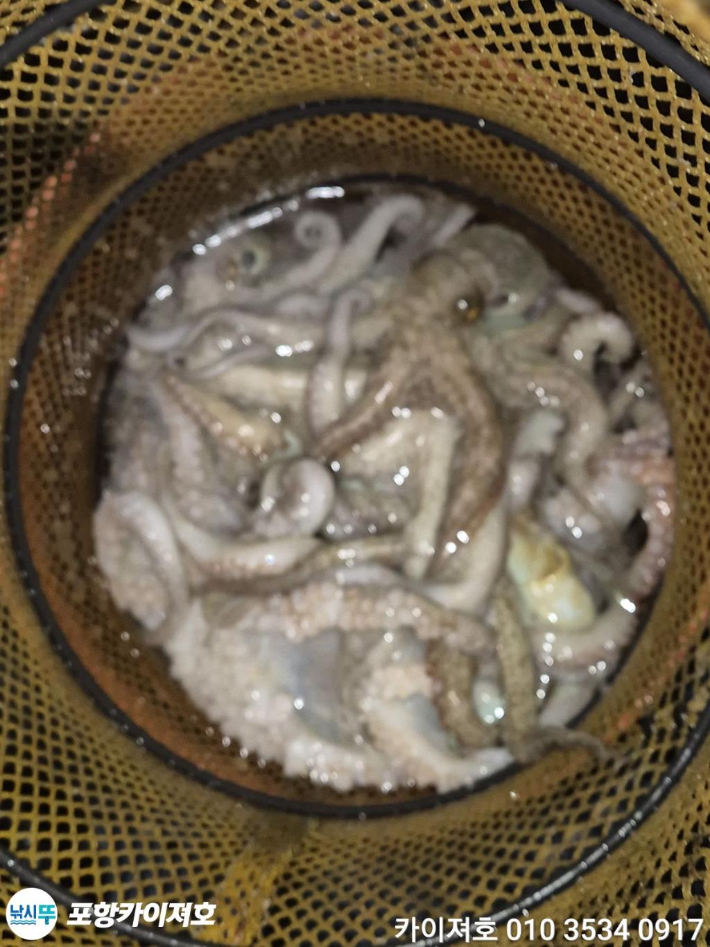 낚시뚜,기타 (직접입력),영일만항,포항카이져호,낚시뚜65