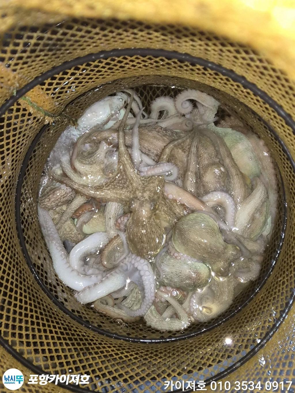 낚시뚜,기타 (직접입력),영일만항,포항카이져호,낚시뚜47