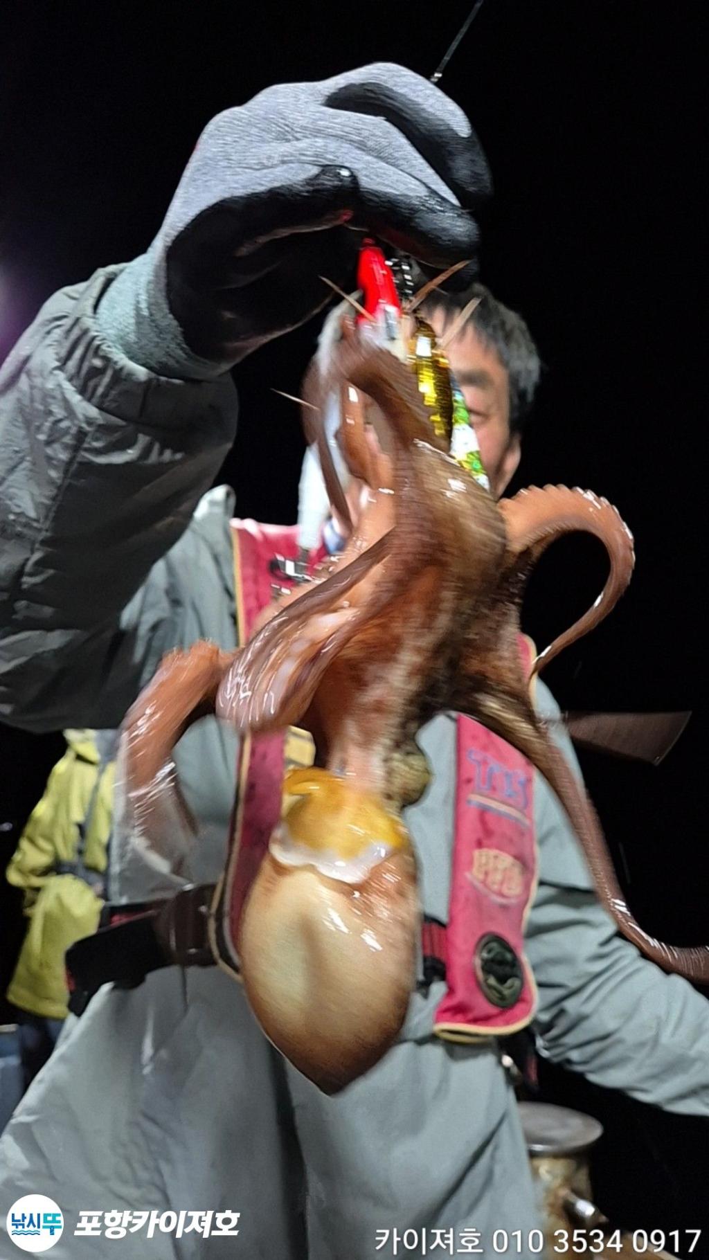 낚시뚜,기타 (직접입력),영일만항,포항카이져호,낚시뚜29