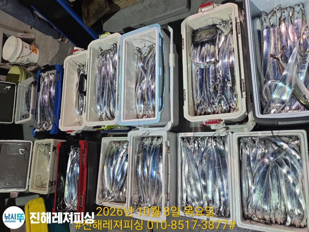 낚시뚜,갈치,진해1부두항,진해레져피싱,낚시뚜20