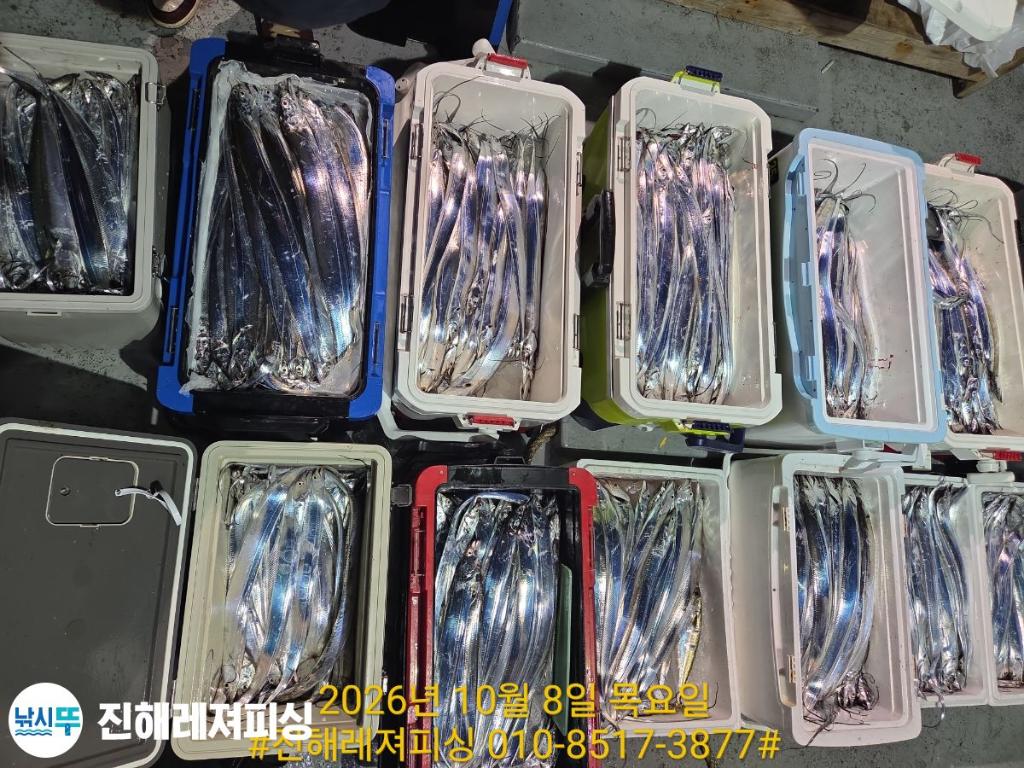 낚시뚜,갈치,진해1부두항,진해레져피싱,낚시뚜19