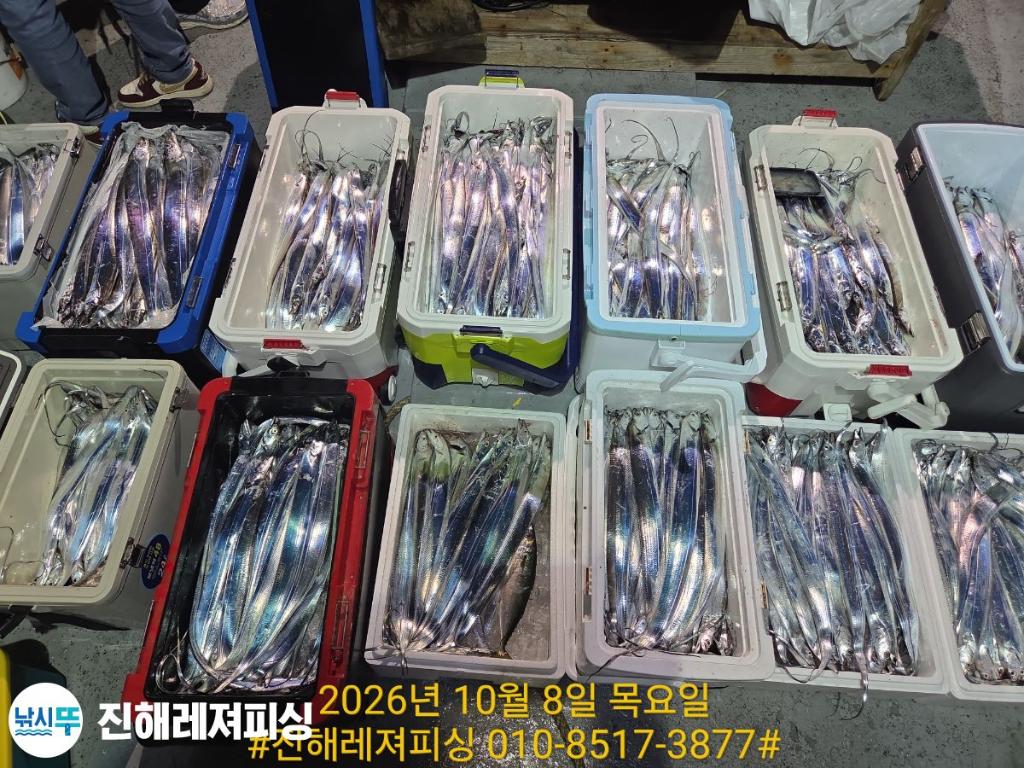 낚시뚜,갈치,진해1부두항,진해레져피싱,낚시뚜18