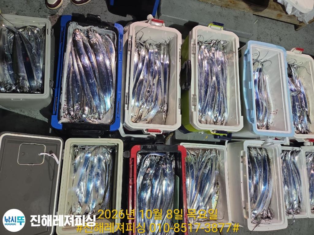 낚시뚜,갈치,진해1부두항,진해레져피싱,낚시뚜17