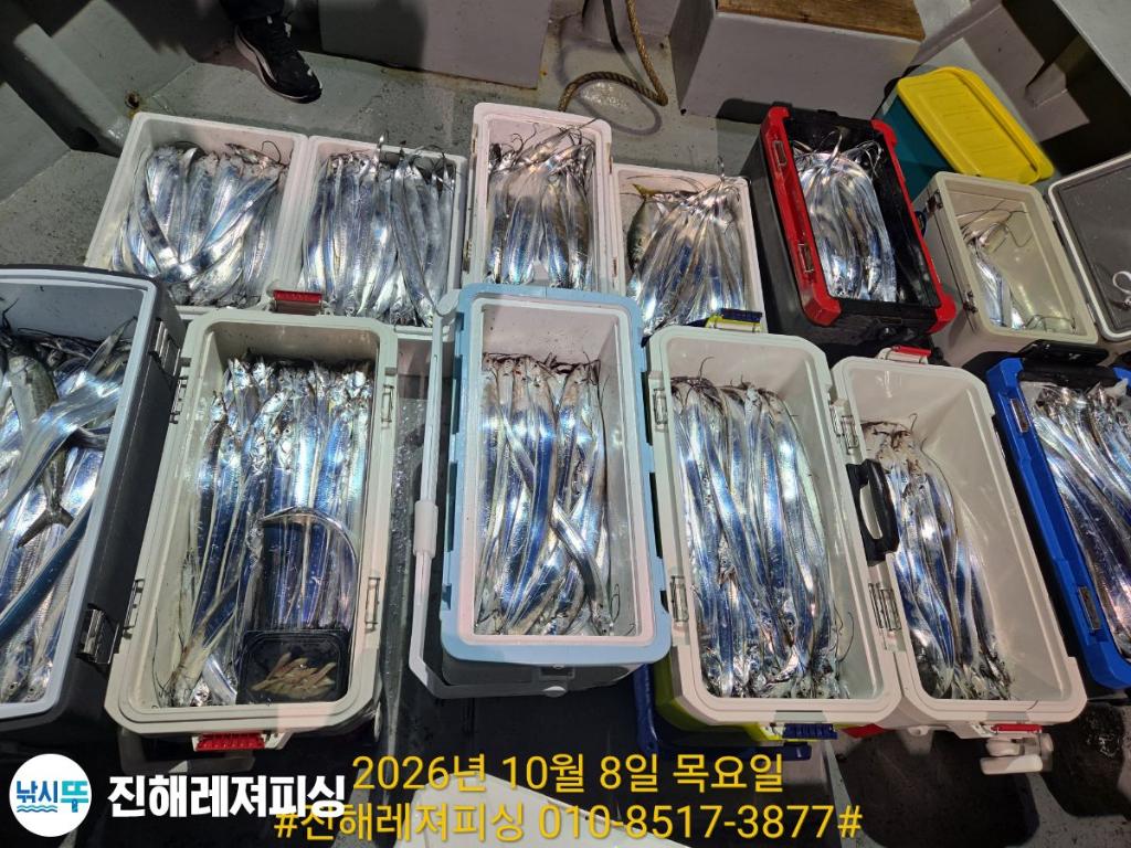 낚시뚜,갈치,진해1부두항,진해레져피싱,낚시뚜16