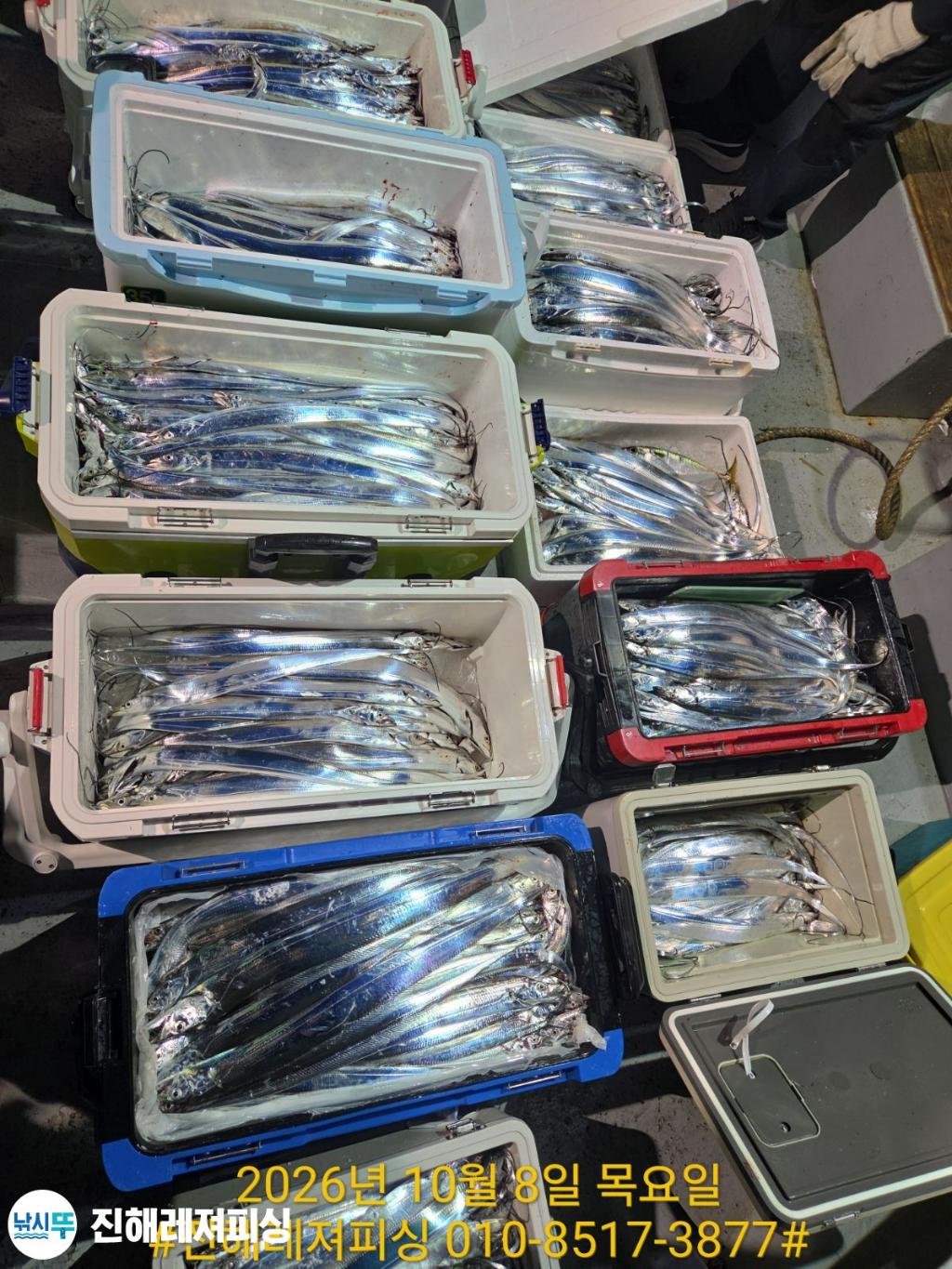 낚시뚜,갈치,진해1부두항,진해레져피싱,낚시뚜15