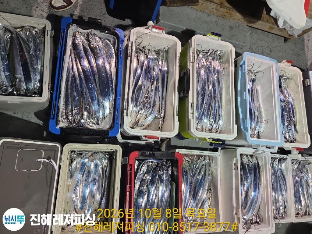 낚시뚜,갈치,진해1부두항,진해레져피싱,낚시뚜14
