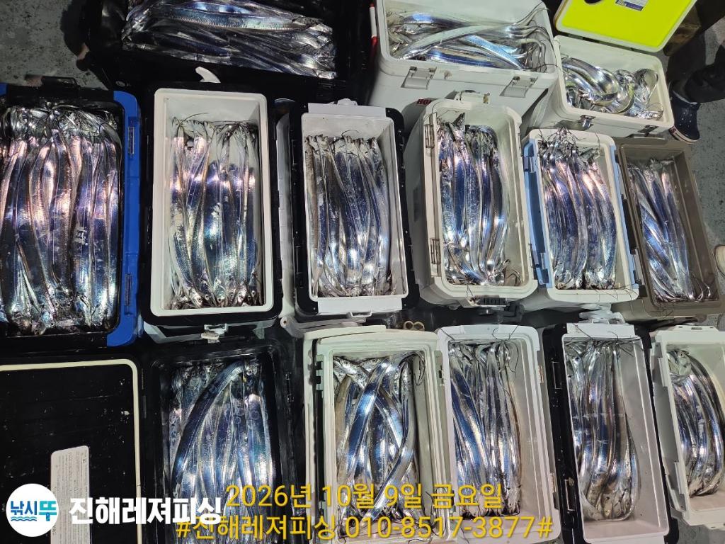 낚시뚜,갈치,진해1부두항,진해레져피싱,낚시뚜12