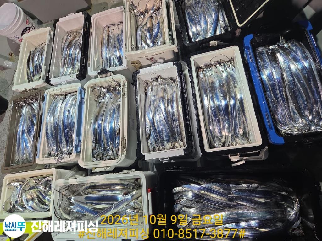 낚시뚜,갈치,진해1부두항,진해레져피싱,낚시뚜11